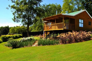 Forest View Cabins